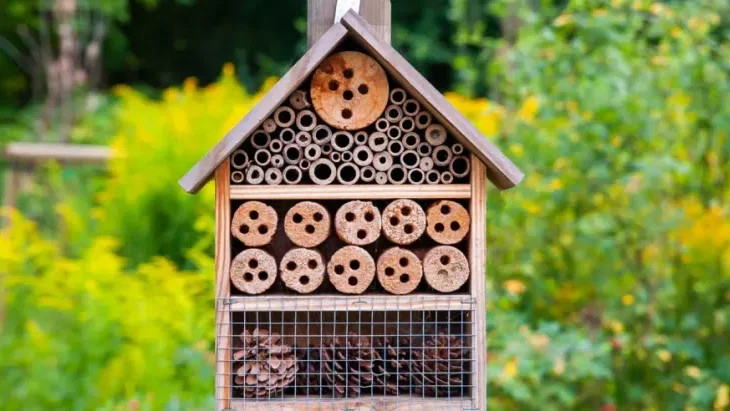 Holzhaus mit Löchern für Insekten steht im Grünen.