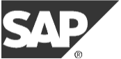 Dreamteam Kunde SAP