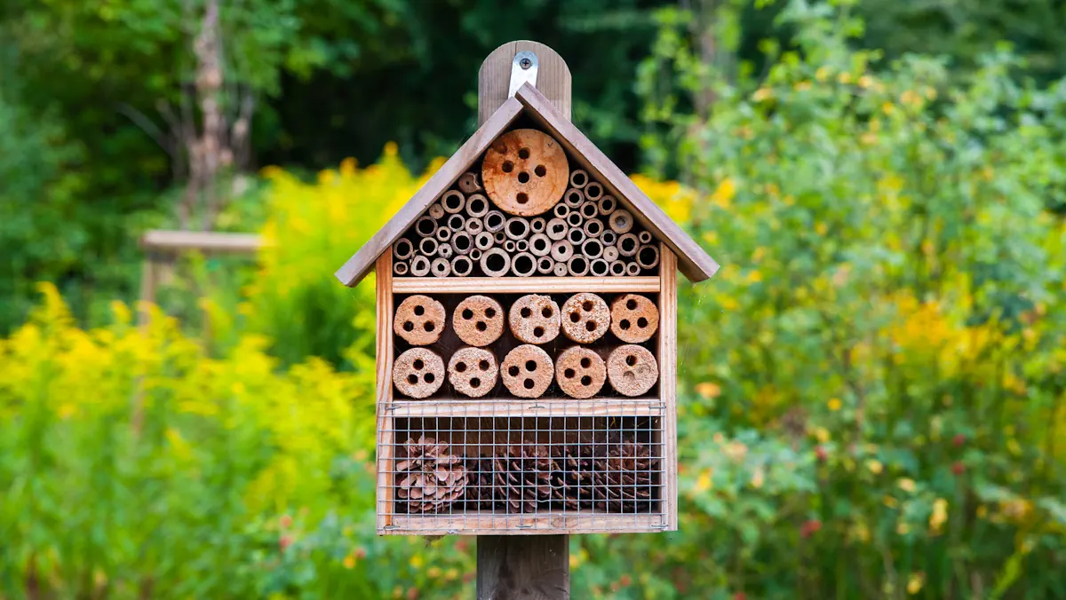 Insektenhäuserbau für dein gesamtes Team. Insektenkasten aus Holz.